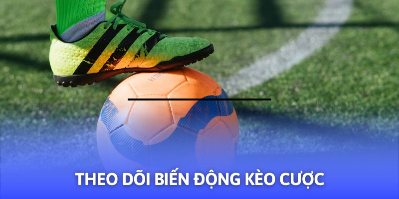Theo dõi odds sát sao để kịp điều chỉnh chiến thuật đầu tư